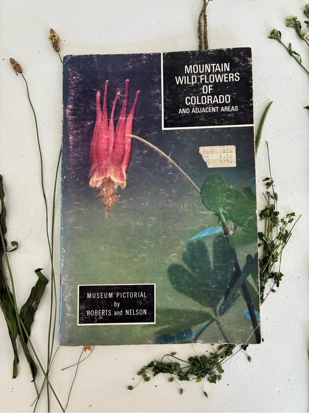 Mountain Wild Flowers of Colorado and Adjacent Areas, Denver Museum Nat. History